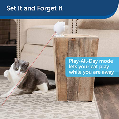 PetSafe Dancing Dot Laser Cat Toy - Interactive Pet Supplies - Indoor - Relieves Anxiety - Bug-Like Laser Pattern… - Image 5