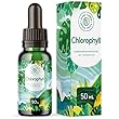 Alpha Foods Chlorophyll Tropfen