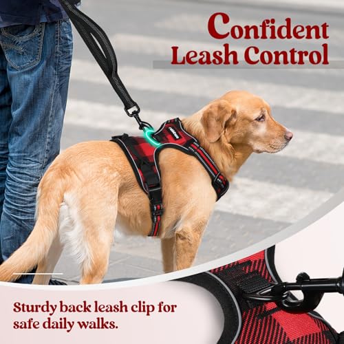 Image of rabbitgoo Dog Harness No Pull with 2 Leash Clips, Adjustable Soft Padded, Reflective Oxford No Choke Pet Vest with Easy Control Handle for Small Dogs, Red Plaid, S