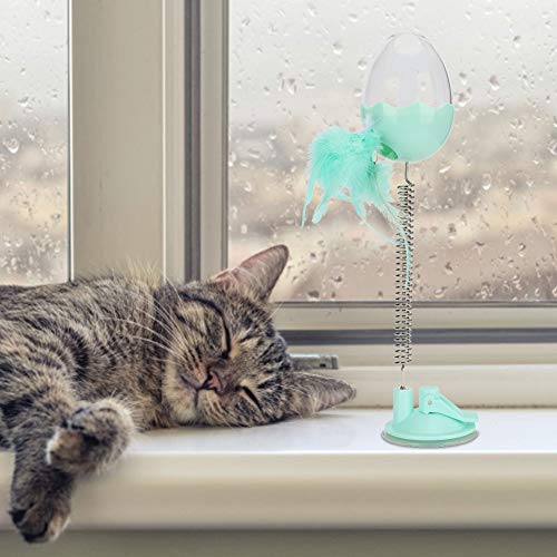 banapoy Brinquedo de mola para gato, casca de ovo transparente de plástico fino acabamento, brinqued