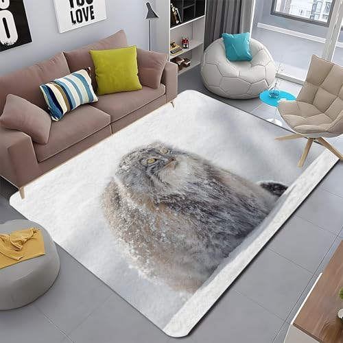 J[ybg 2 GAO }JN O J[ybg rO[ 􂦂郉O 킢 h_j hL R Չ ϖ O~ ` 160x200 cm AEghAArOA_CjOAl炵 n~ ~ tA}bg - PM677