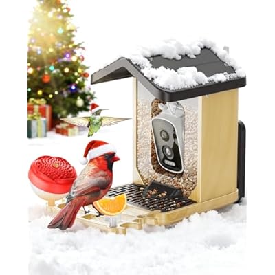 Bird Feeder with Camera Solar Powered, Bird Fee...
