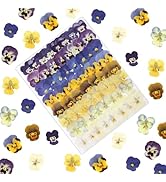 LUXEEASE 64 Pcs Dried Pressed Viola Flowers, 8 Color Gradient Purple Blue Yellow White, for Resin...