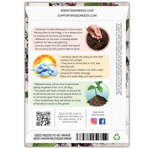Image of Seed Needs Pink Common Milkweed Seeds for Monarch Butterflies 1 Pack