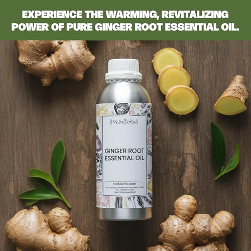 Image of VedaOils Ginger Essential Oil 100ml | 100% Pure, Natural & Undiluted | Ginger Oil for Weight Loss Belly Fat, Fat Loss & Pain Relief Massage | For Hair Growth, Skin Care & Aromatherapy