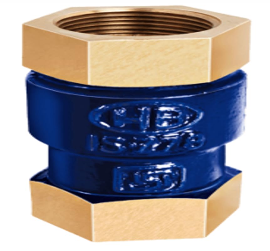 Bronze Vertical Check Valve – 1 1/2 Inch, Brass End Connections, Blue Cast Iron Body, Non-Return Valve for Plumbing & Industrial Applications (40 mm)-image-37