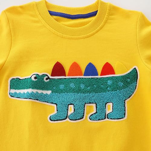 Boys Sweatshirts Long Sleeve Sweatshirts T-shirts Crew Neck Cotton Casual Sweatshirts Cartoon Tops for Boys-433