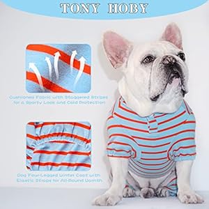 TONY-HOBY-Dog-Shirt-4-Legged-Dog-Jumpsuit-Dog-with-Baseball-Uniform-Collar-Pet-Clothes-for-Small-Medium-Dog-Light-BlueOrange-L - Cucciolini Doodles   TONY-HOBY-Dog-Shirt-4-Legged-Dog-Jumpsuit-Dog-with-Baseball-Uniform-Collar-Pet-Clothes-for-Small-Medium-Dog-Light-BlueOrange-L