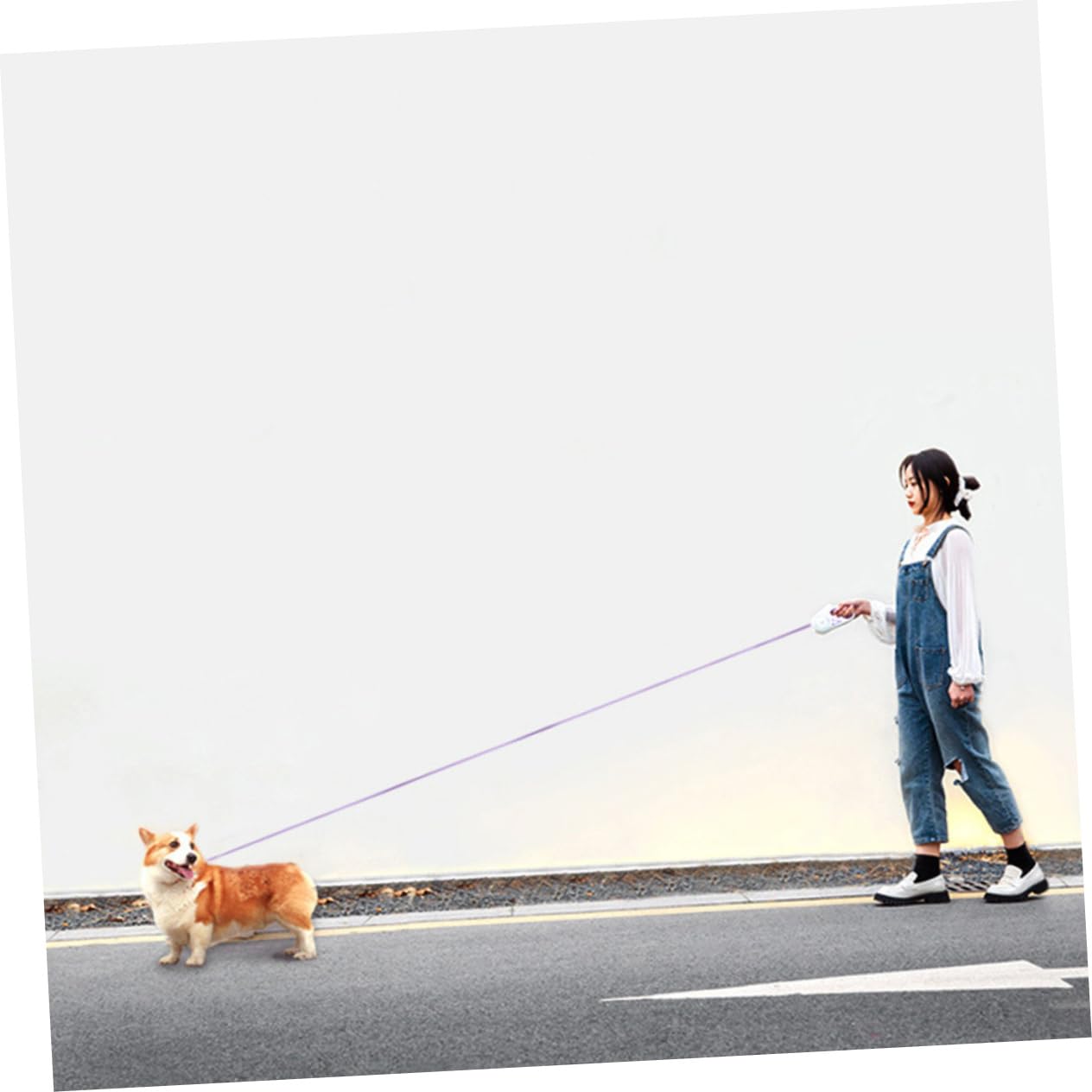 BESPORTBLE Guinzaglio Retrattile per Cani in Abs e Nailon Luce e Blocco Automatico per Passeggiate