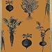 Hester and Cook Kitchen Papers Farmers Market 20" x 25" Disposable Table Runner