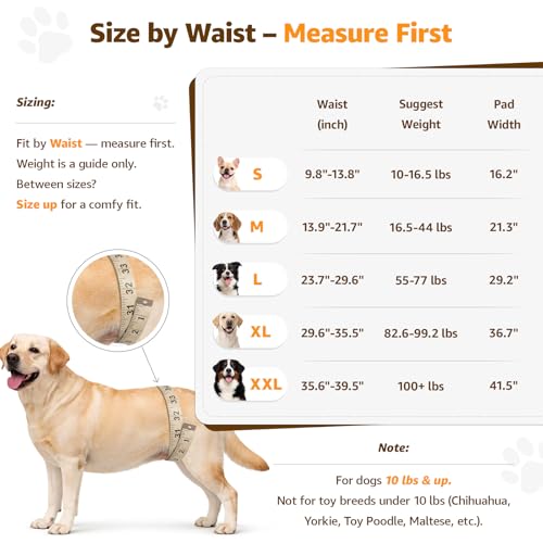 Image of Adjustable Dog Lift Harness Dog Sling for Large Dogs Hind Leg Support Soft Lift Support for Weak Rear Legs, Helps Senior, Injured, Disabled, After ACL Surgery Dogs (Grey&Grey, X-Large)