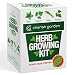  Herb Garden Starter Kit Indoor - DIY Kit for Growing Basil, Cilantro, Parsley, Chives from Seeds - Complete Guide & Bonus Herb Stripper - Indoor Herb Garden by Cherish Garden
