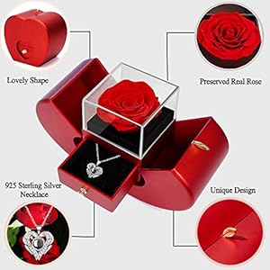 Preserved Real Rose with I Love You Necklace 100 Languages, Gifts for Girlfriend, Women, Mom, Wife, Gifts Idea on Christmas, Valentine's Day, Mother's Day, Birthday, Anniversary, Thanksgiving Preserved Real Rose with I Love You Necklace 100 Languages Gifts for Girlfriend Women Mom Wife Gifts Idea on Christmas Valentines Day Mothers Day Birthday Anniversary Thanksgiving