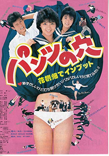 ○邦画チラシ 難ありお買得 【パンツの穴】 志村 香○状態 表面 上側に