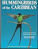 Hummingbirds Of The Caribbean