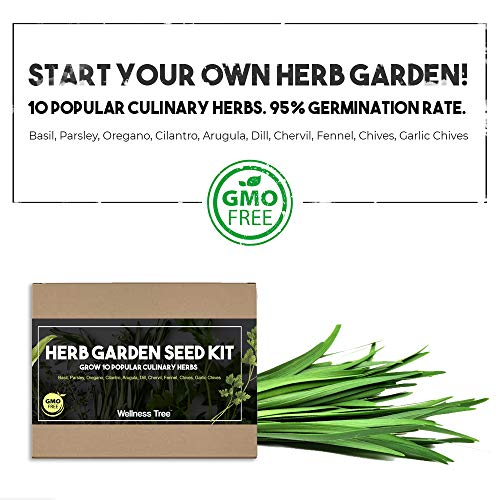 Wellness Tree Herb Garden Seeds Kit - Culinary 10 Herb Seed Packets - For Gardening Basil Cilantro Chives Herb – Garden Herb Seed Grow Kit - Plant Starter Kit - Indoor & Outdoor Herb Seeds Starter Kit #TOP2
