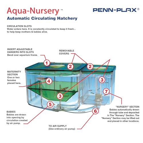 Penn-Plax AN2 Aqua Nursery and Hatchery Breeding Box for Your Aquarium - Help Protect Baby Fish from Predators