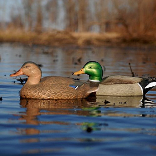 Avery Hunting Gear Es Standard Mallards (Dozen)