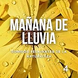 Terraza con techo de lluvia para patio trasero