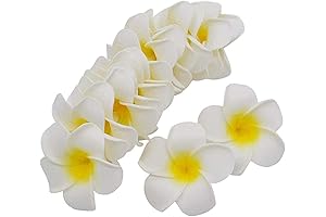 TangTanger DIY Picnic Kitchen Animal Mold Rice Mold Shaper Bento Accessories