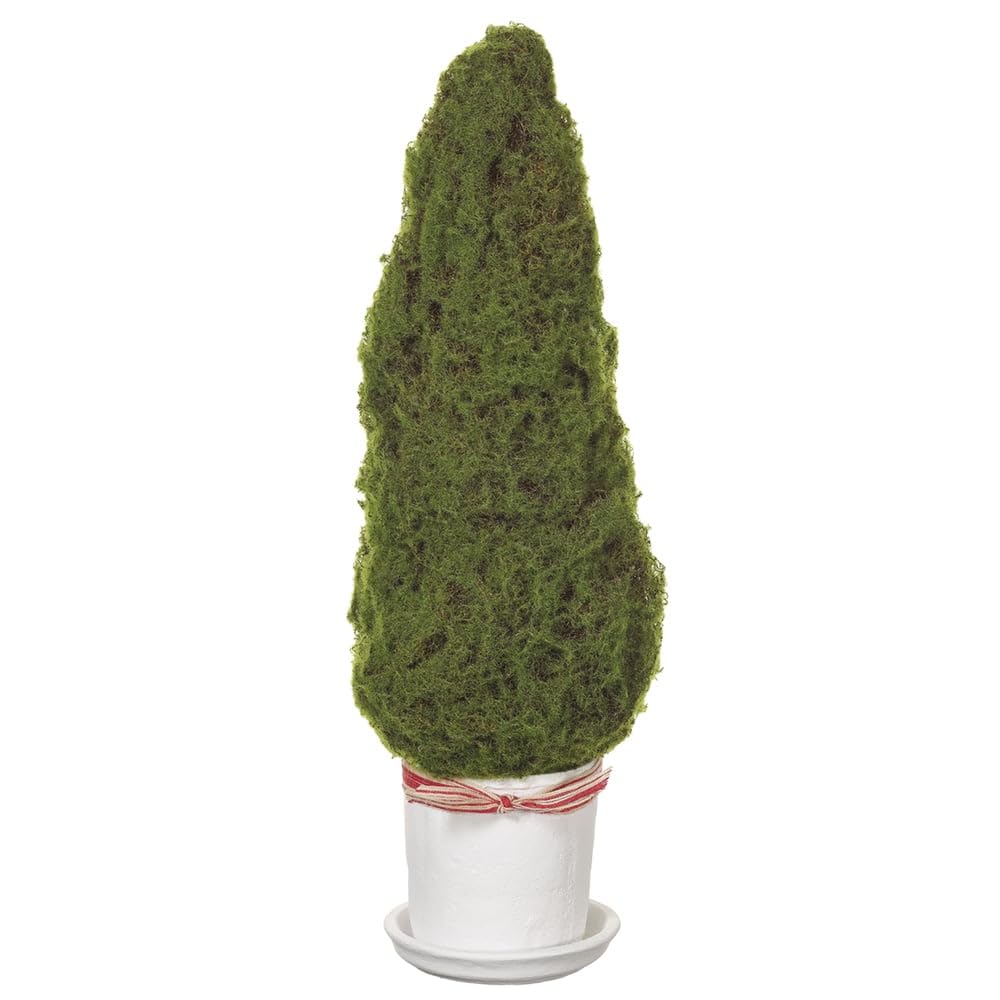 SilksAreForever 24.5