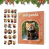 2025 Weihnachtskalender Advent | 2D-Acryl-Charm-Dekoration, 24 Tage -Ornament, Countdown-Kalender – für Weihnachtsbaum, Auto, Wand, Urlaub, Familie, Freunde, Urlaub, Partygeschenke