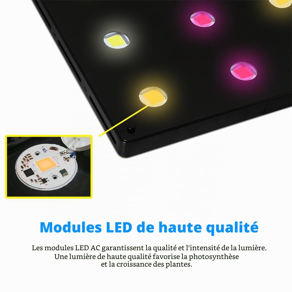 CANAGROW Lampe de croissance LED sans bruit - 900 W - Équivalent HPS - Lampe de croissance à spectre complet avec LED COB de qualité supérieure - 3 modes d'éclairage pour plantes d'intérieur, fruits