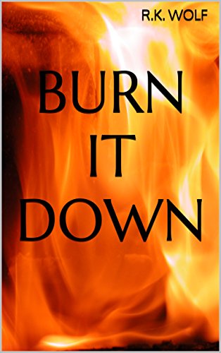 Amazon Com Burn It Down Ebook Wolf R K Kindle Store