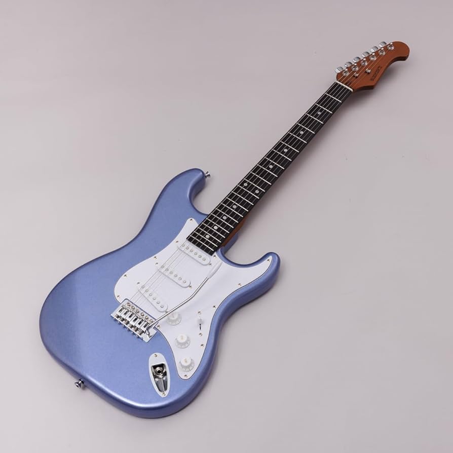 BUSKERS BST-Standard 新品 エレキギター ギターケース付き