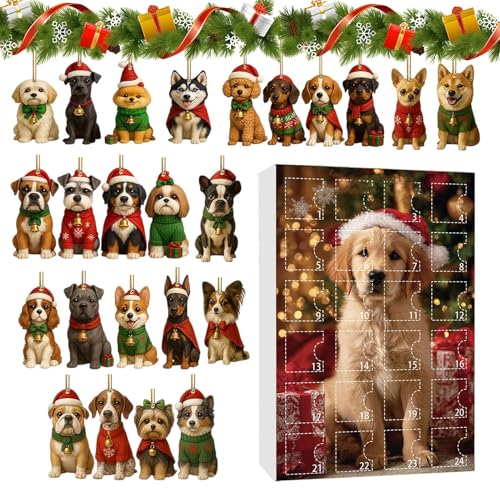 Qoukonao NX}XJEg_EJ_[ - 2DAN̑ - 24Ԃ̌̃I[ig - xAAhAAǁAp[eB[p