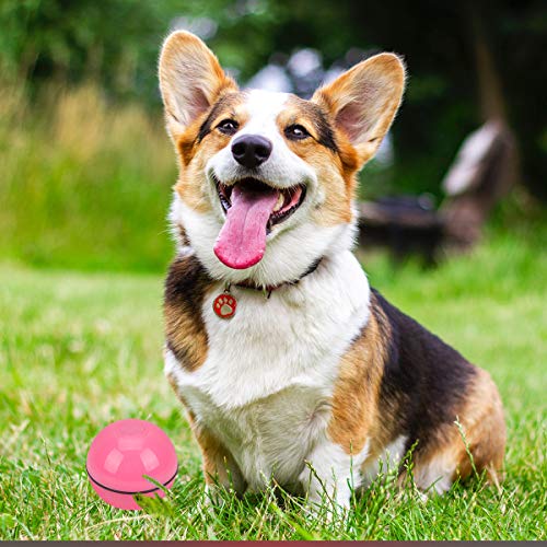 LED Bola brilhante Bola de brinquedo para animal de estimação Carregamento USB Smart Pet Toy Bola ro