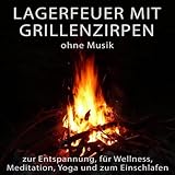  Lagerfeuer mit Grillenzirpen ohne Musik zur Entspannung, für Wellness, Meditation, Yoga und zum Einschlafen