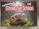Ausgrabungsset Dinosaurier-Schädel
