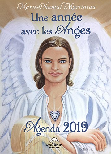 Télécharger Une année avec les Anges - Agenda 2019 PDF