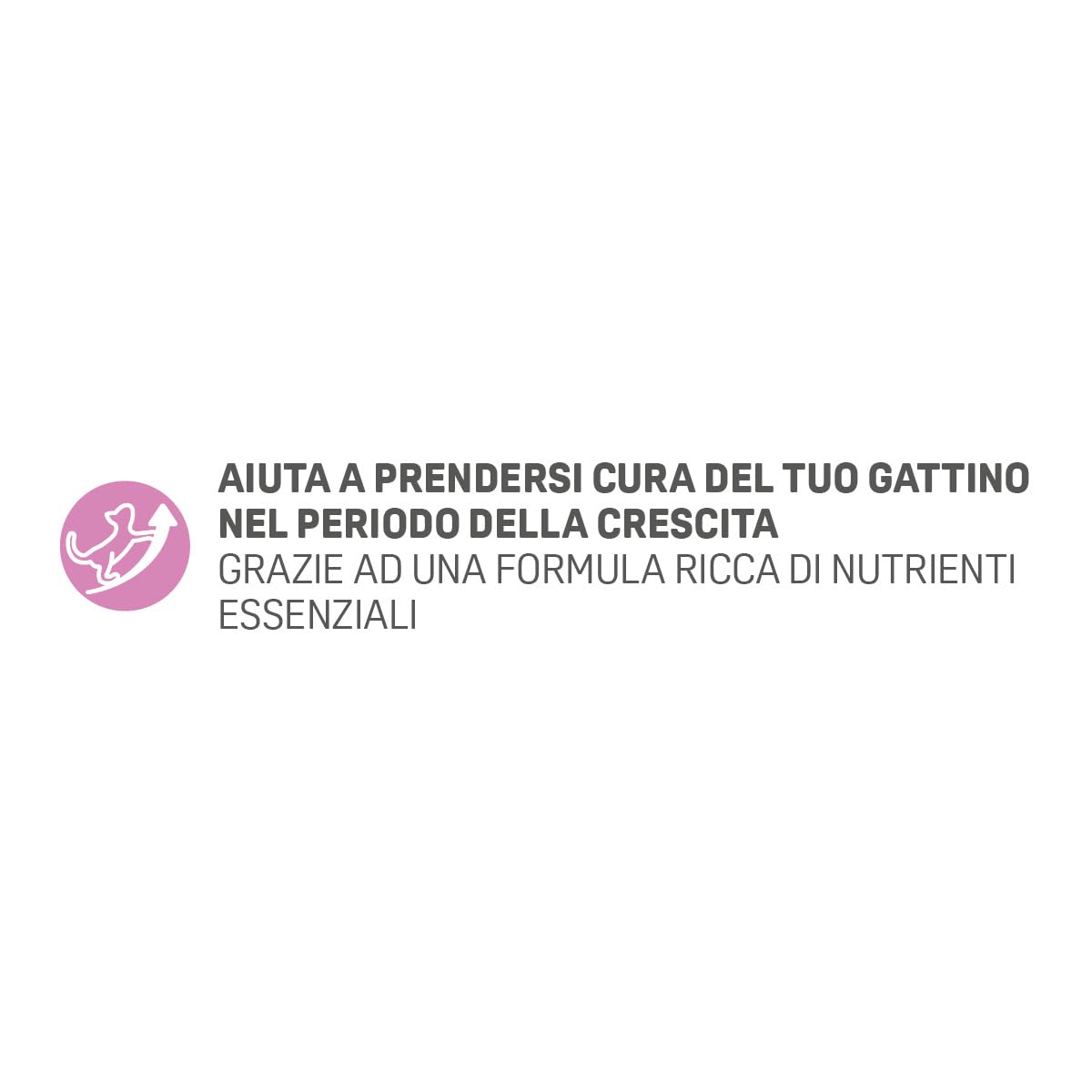 Trainer Kitten Cibo per Gattino, 1 a 12 Mesi, con Salmone, 1.5 kg, packaging may vary