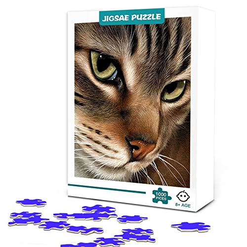 Puzzle 500 Piezas Adulto Rompecabezas Cover