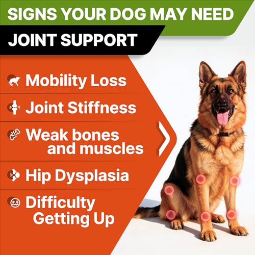 STRELLALAB Advanced Glucosamine for Senior Dogs, Chondroitin Joint Support - Image 3