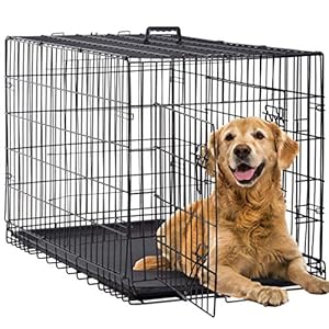 BestPet-2430364248-Inch-Dog-Crates-for-Large-Dogs-Folding-Mental-Wire-Crates-Dog-Kennels-Outdoor-and-Indoor-Pet-Dog-Cage-Crate-with-Double-DoorDivider-Panel-Removable-Tray-and-Handle42-inch