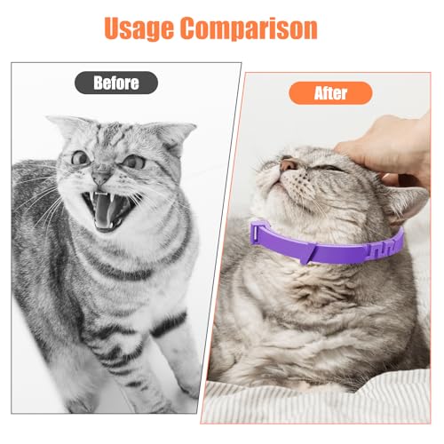 Beruhigendes Halsband für Katzen, 4-teilig, Anti-Stress, natürlich, mit Pheromonen, Farbe Violett, Größe verstellbar und 30 Tage Effekt, für Kätzchen und erwachsene Katzen
