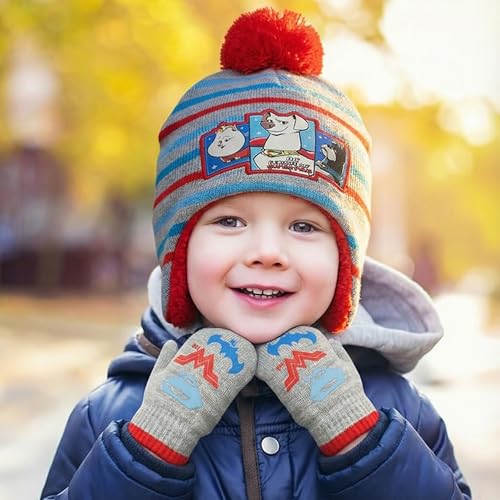 Image of DC Comics Boys Toddler Winter Hat And Mitten With Sherpa Lining, Super-Pets Beanie For Ages 2-4