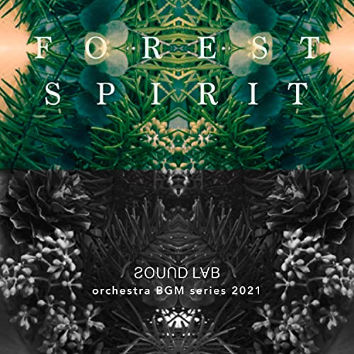 Soundlab Orchestra BGM series 2021