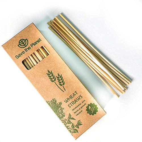 Save the planet Biodegradable, Non Plastic, Organic Disposable Wheat Straws - Set of 100 Pieces
