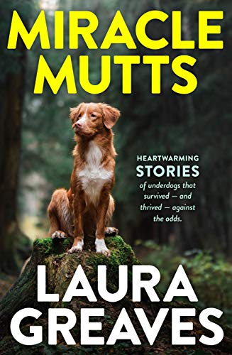 Miracle Mutts view 2