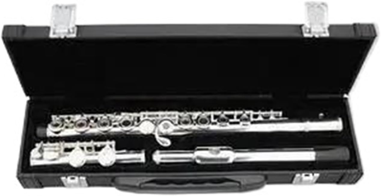 【美品】 Heinrich へインリッチ　フルート Dolce” 3K Gold Lip-Plate Limited Edition【限定数量販売終了