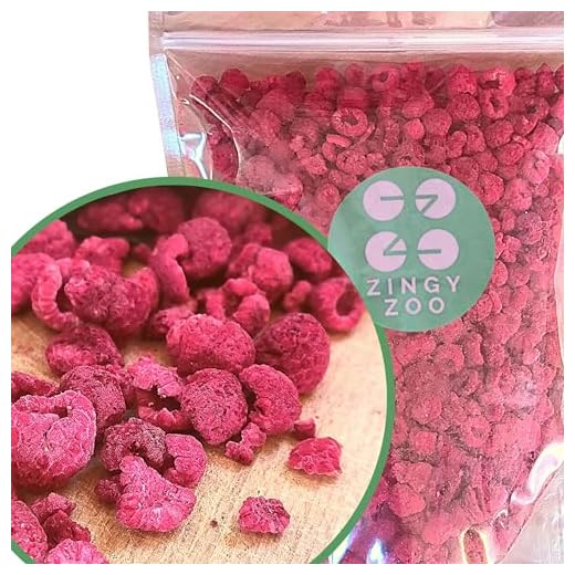 Gefriergetrocknete Himbeeren Gebrochene Stücke | XL 300g Trockenfrüchte Gefriergetrocknet | Getrocknete Himbeeren Glutenfrei Gefriergetrocknete Früchte | Freeze Dried Fruit | Freeze Dried Raspberry