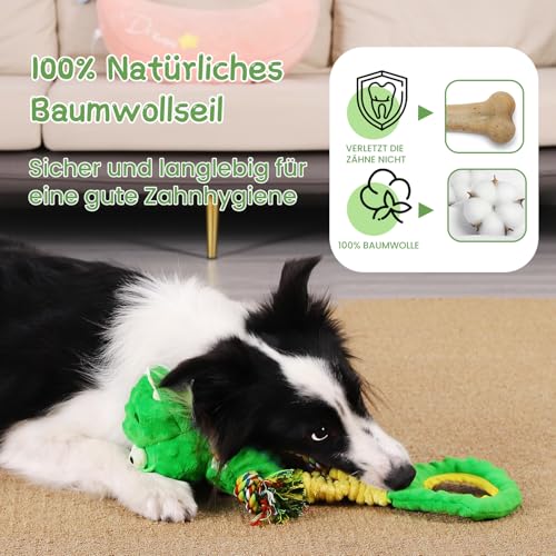 WinTour Hundespielzeug, Süßes Quietschendes Hundespielzeug mit Crinkle-Papier, Tauziehen, um sie zu Beschäftigen, Gefüllte Hundekauspielzeug für Kleine, Mittlere, Große Hunde