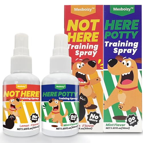 Mesboizy Not Here & Here Training Set