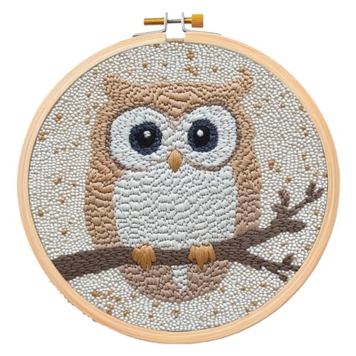 Generic Punch Needle Kit Owl Design: Complete DIY Crafting Kit for Adults & Kids, Modern Cross Stitch Art Kit, 8 inches x 8 inches, Not Foldable
