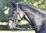 kandare pferd immer strahlende Glanzoptik ohne zusätzlichen Pflege- oder Polierbedarf durch besonders strapazierfähiges Lackleder am Reithalfter