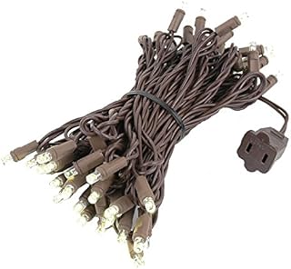 Novelty Lights 50 Light LED Christmas Mini Light Set, Outdoor Lighting Party Patio String Lights, Warm White, Brown Wire, ...
